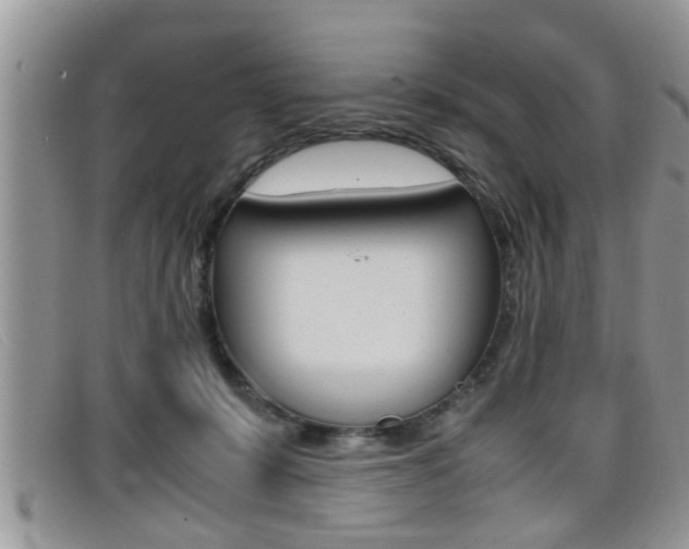 X0000099430319200805090732