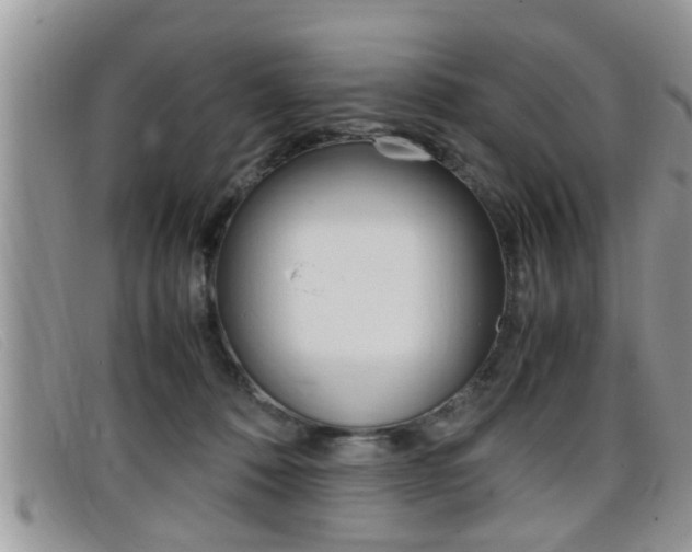 X0000099430320200805090732