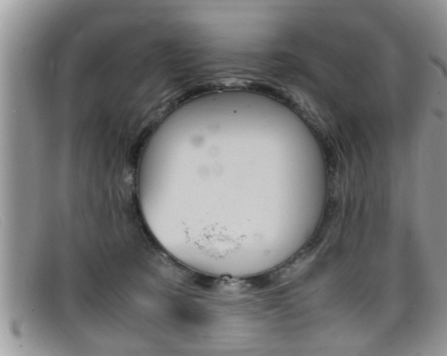 X0000099430321200805090732