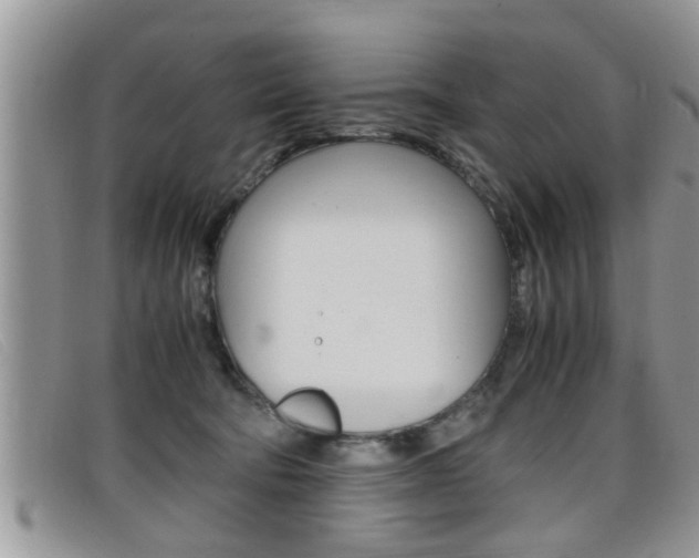 X0000099430322200805090732