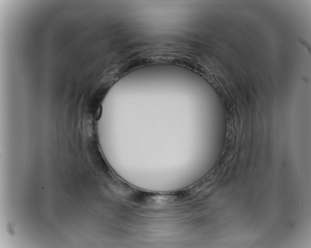 X0000099430323200805090732
