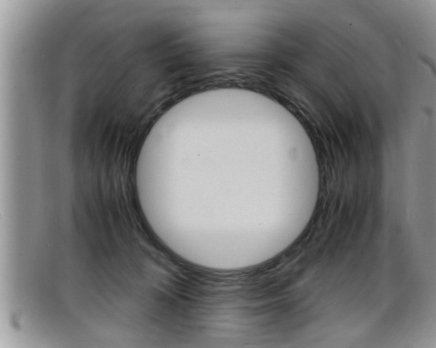 X0000099430324200805090732