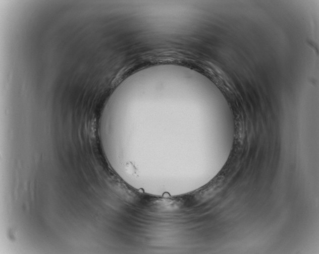X0000099430326200805090732