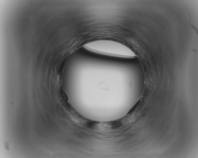 X0000099430327200805090732