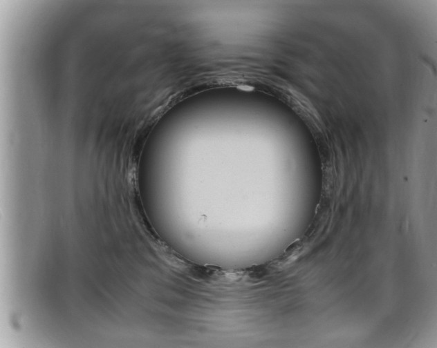 X0000099430329200805090732