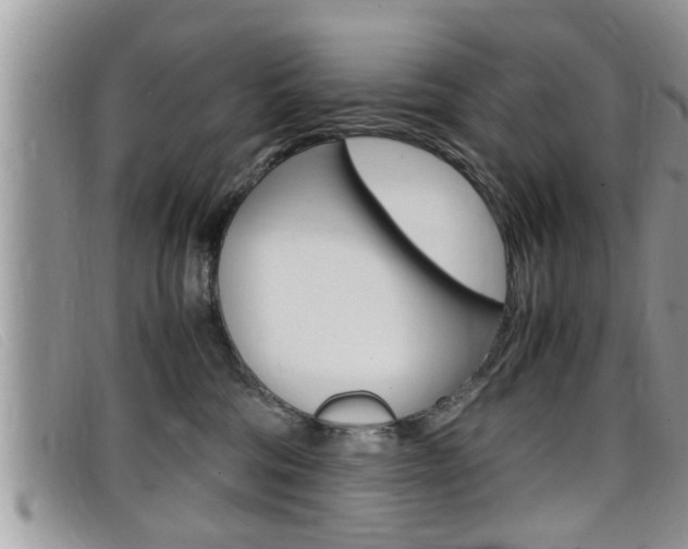 X0000099430330200805090732