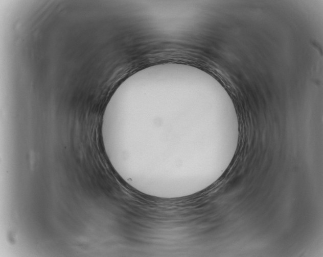 X0000099430333200805090732