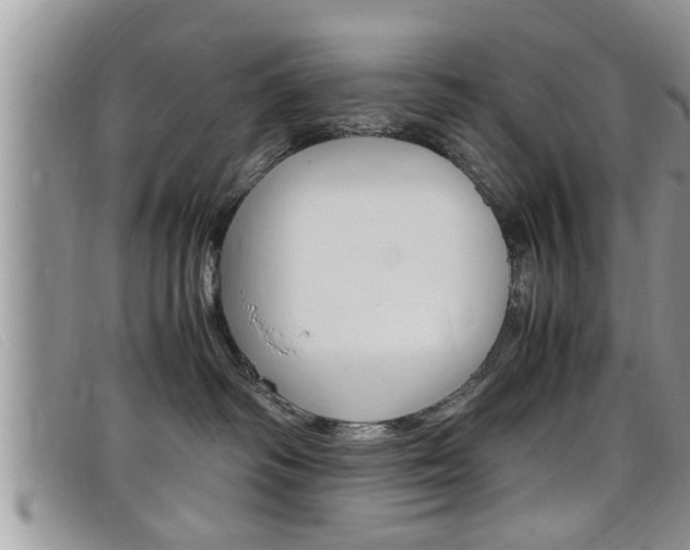 X0000099430334200805090732