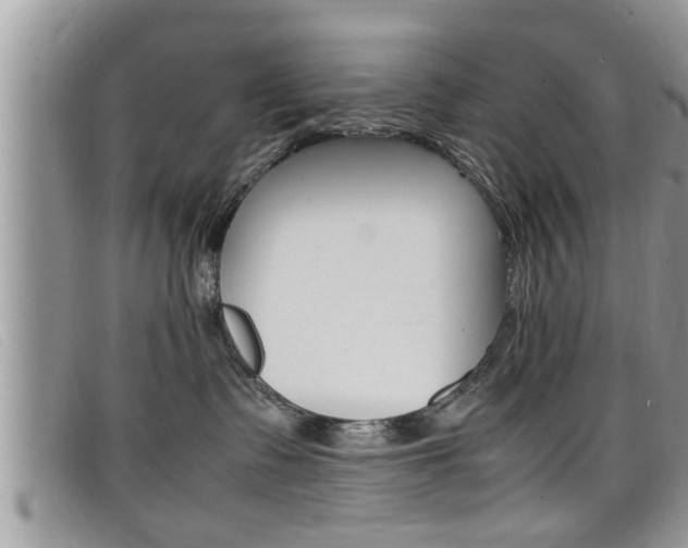 X0000099430335200805090732