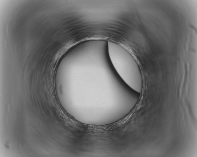 X0000099430337200805090731