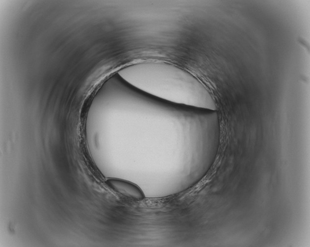 X0000099430338200805090731