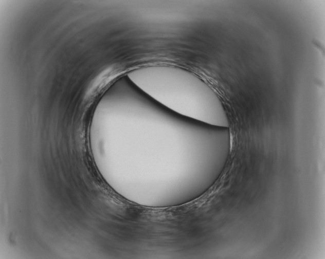 X0000099430339200805090731