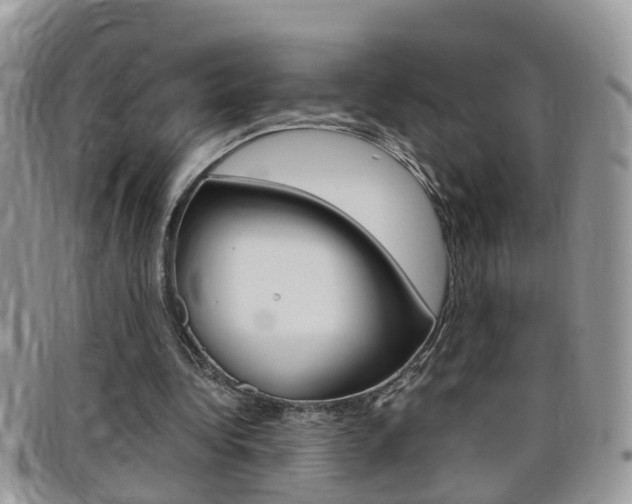 X0000099430340200805090731