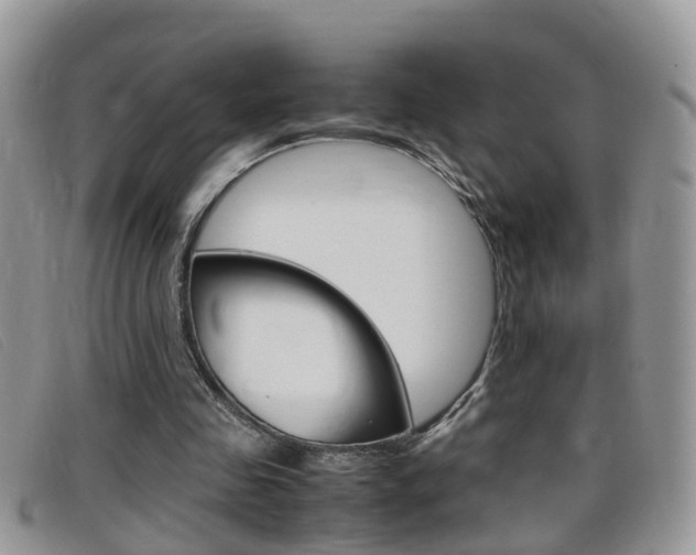 X0000099430341200805090731