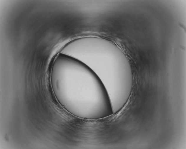 X0000099430342200805090731