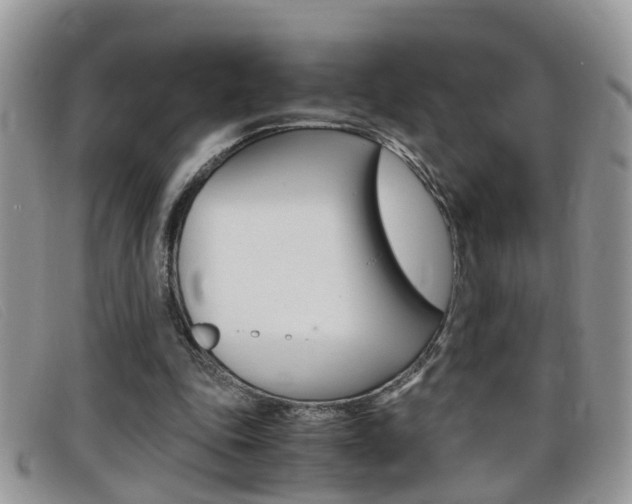 X0000099430343200805090731