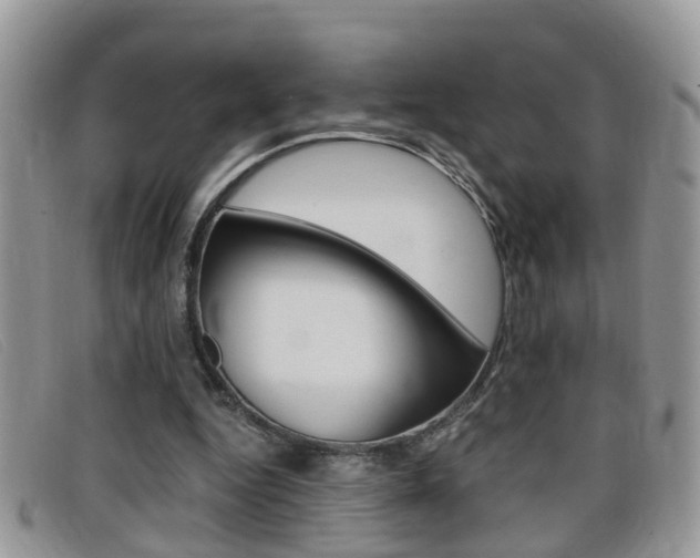 X0000099430344200805090731