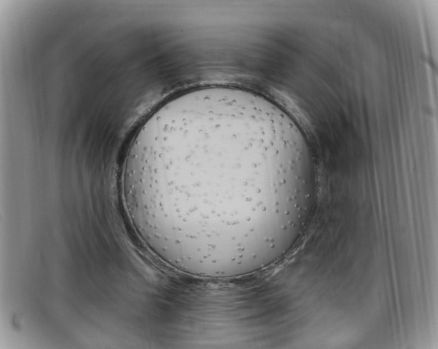 X0000099430346200805090731