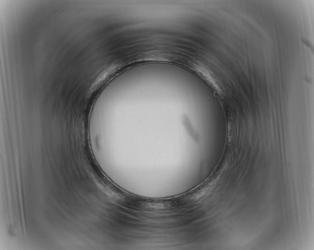 X0000099430349200805090731
