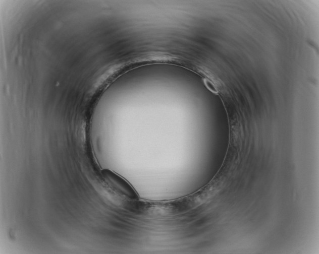 X0000099430350200805090731