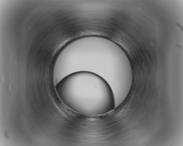 X0000099430352200805090731