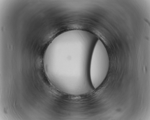 X0000099430355200805090731