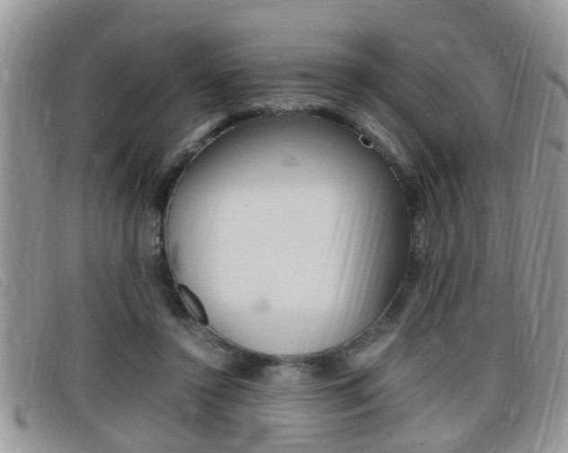 X0000099430356200805090731