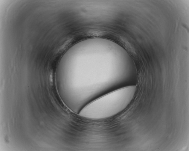 X0000099430358200805090731