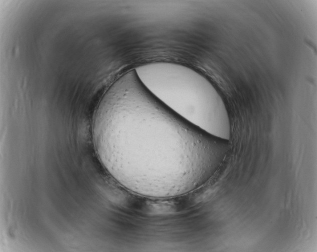 X0000099430359200805090731