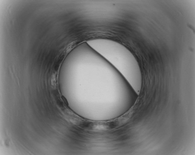 X0000099430360200805090731