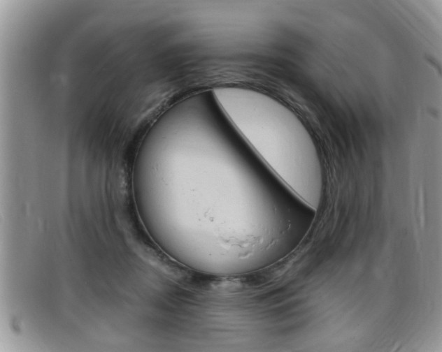 X0000099430362200805090731