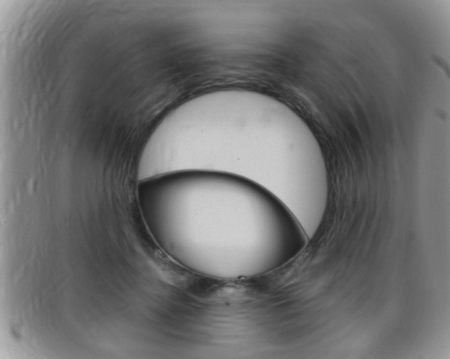 X0000099430364200805090731