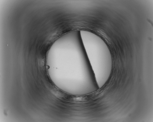 X0000099430365200805090731