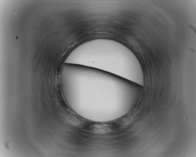 X0000099430367200805090732