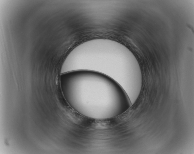 X0000099430368200805090732