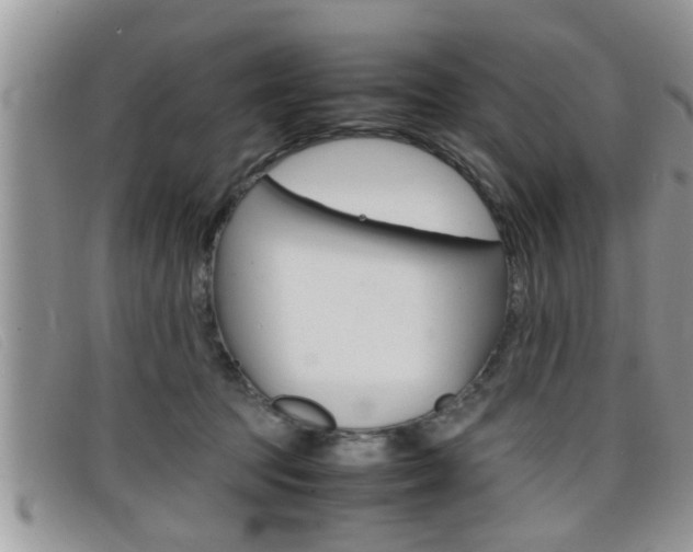 X0000099430369200805090732