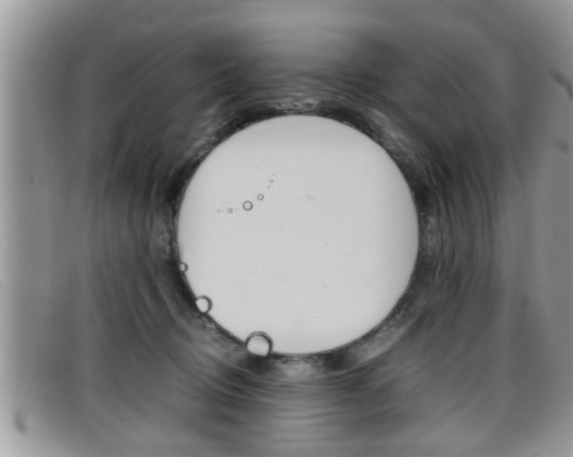 X0000099430370200805090732