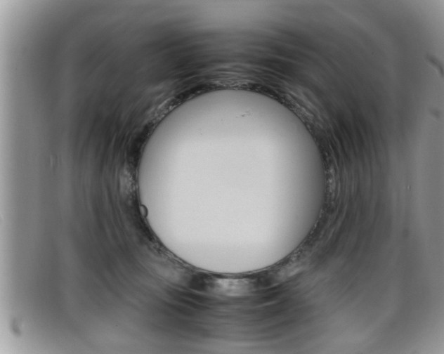 X0000099430371200805090732