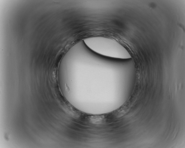 X0000099430373200805090732