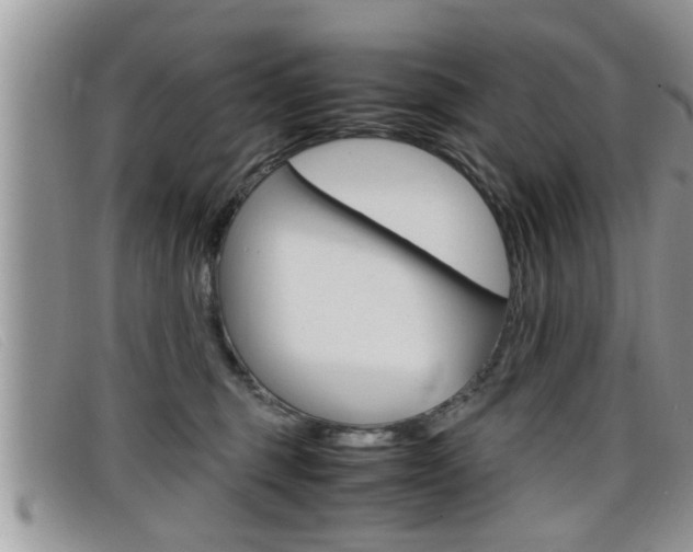 X0000099430375200805090732