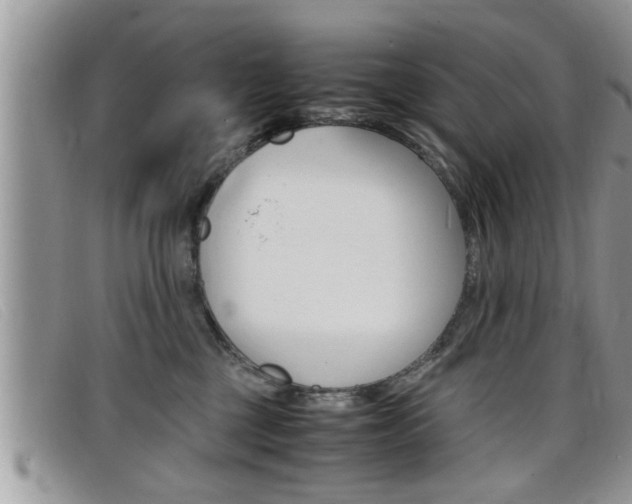 X0000099430377200805090732