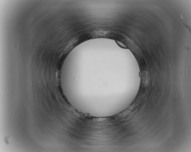 X0000099430378200805090732