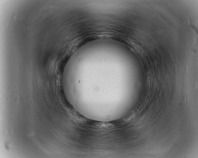 X0000099430379200805090732