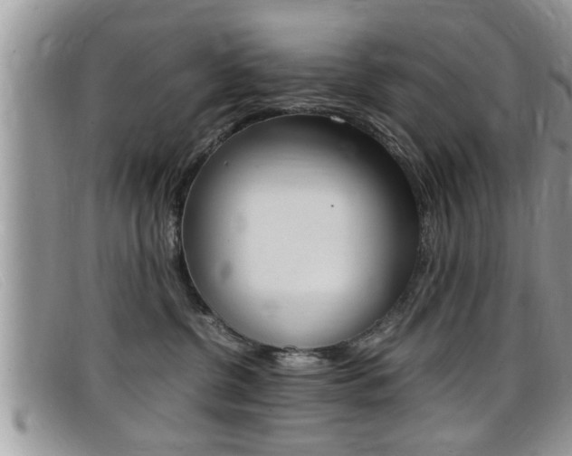 X0000099430380200805090732