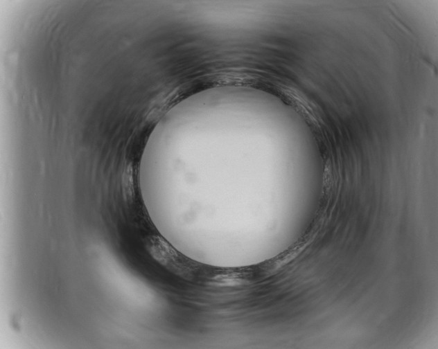 X0000099430381200805090732