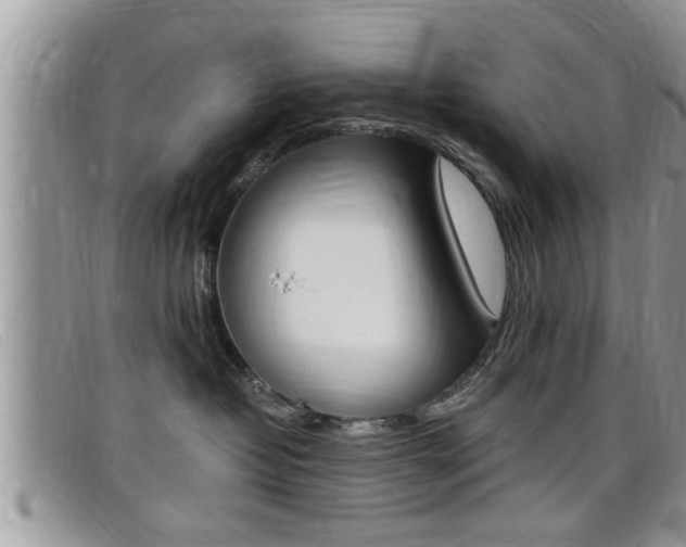X0000099430382200805090732