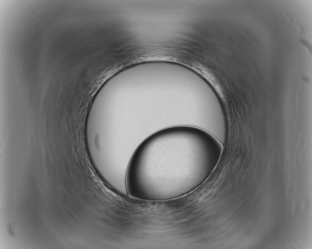 X0000099430385200805090731