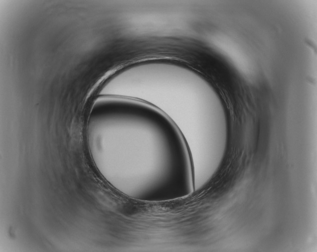 X0000099430387200805090731