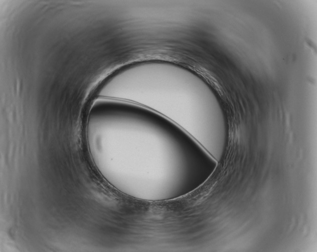 X0000099430388200805090731