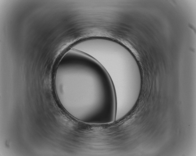 X0000099430391200805090731